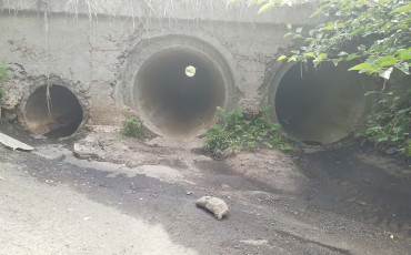 Чищення Низинних Вулиць Чернігова