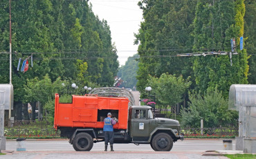 Ранок Зі Стрижами, Ластівками І Мальвами